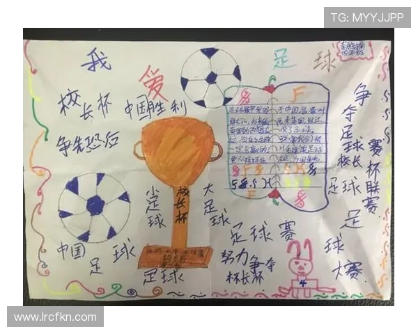 南京足球队的奋斗历程与荣耀追寻：一段不屈不挠的足球纪实之旅